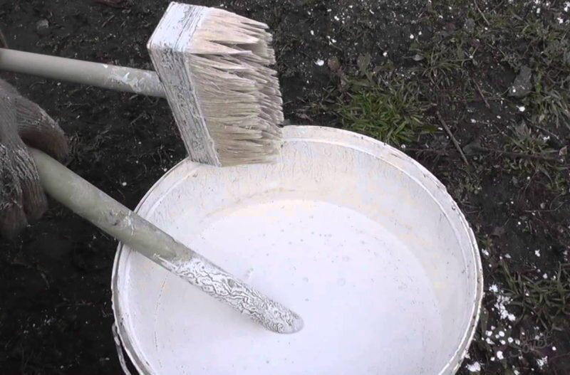 Известь. Иллюстрация для статьи используется с сайта 9ban.ru