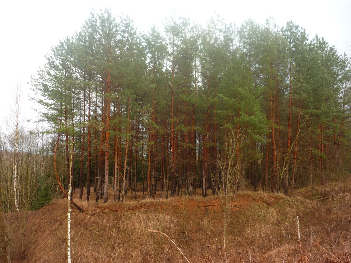 по дороге к урочищу, фото автора