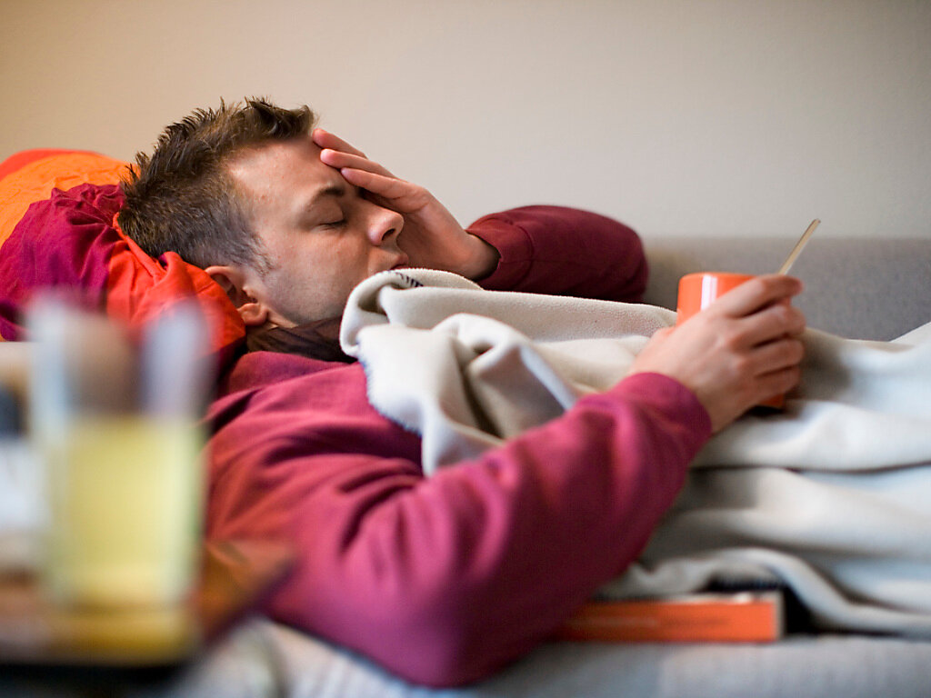 из галереи Яндекс