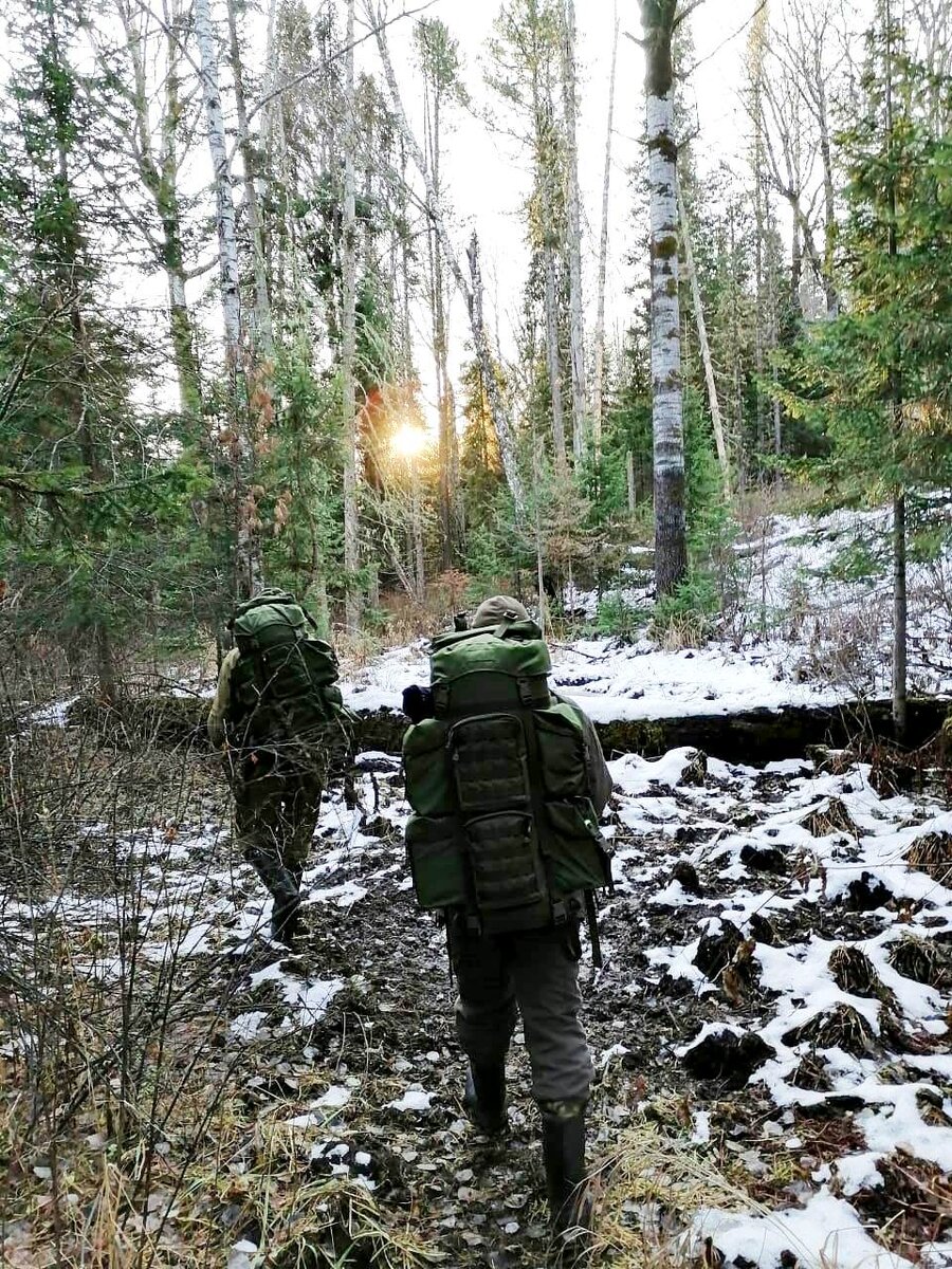 Госинспекторы в рейде