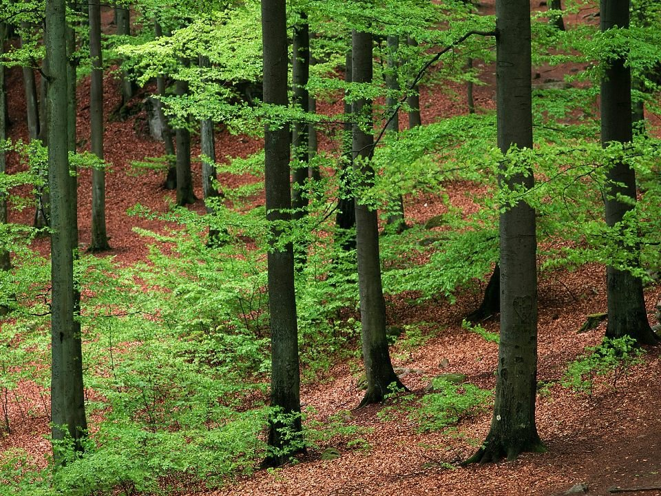 http://photogoroda.com/