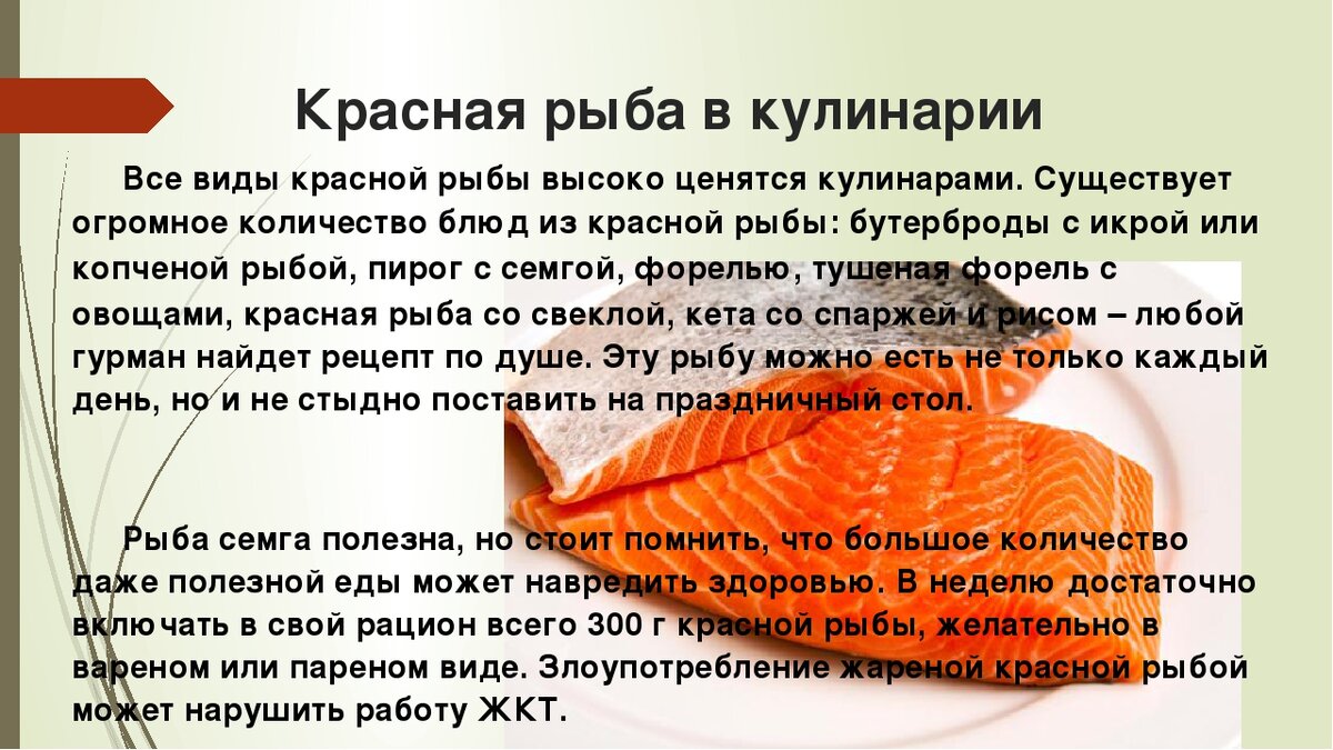 красная рыба разновидности. полезные свойства красной рыбы. лосось полезные свойства. чавыча форель лосось. лосось(salmon form).
