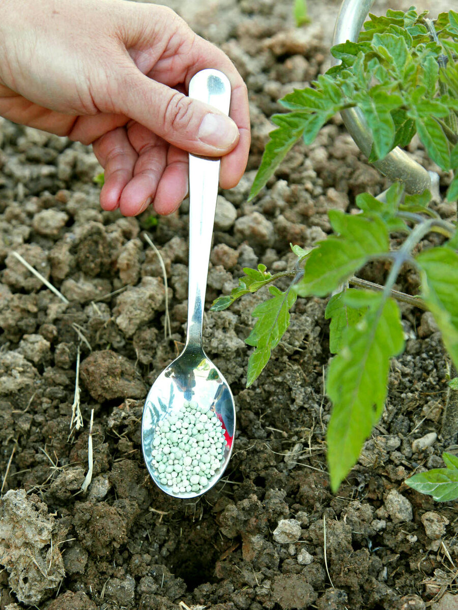 Минеральные овощные удобрения действуют быстро, но риск избыточного внесения удобрений и выщелачивания также выше.