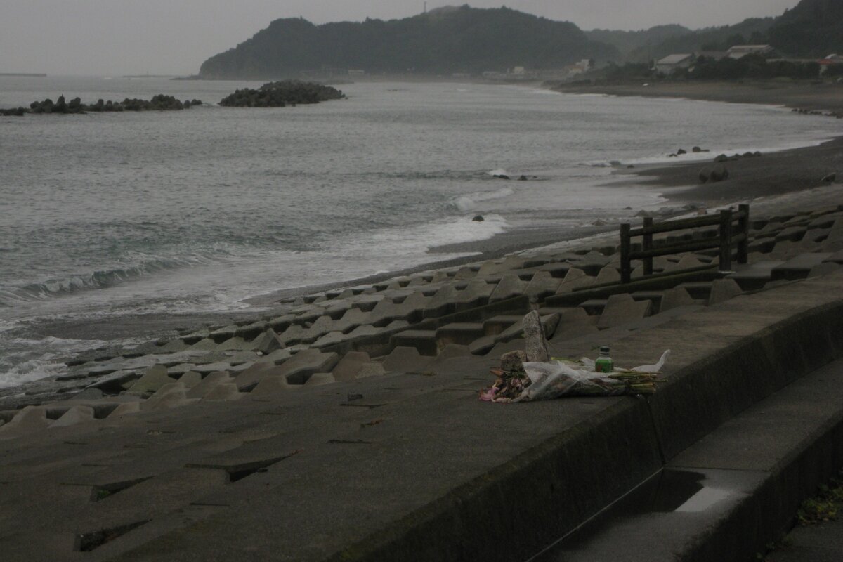 Фото из свободного источника интернета