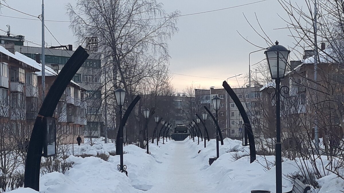 Худею к лету. Мой опыт проращивания семяни пшеницы.