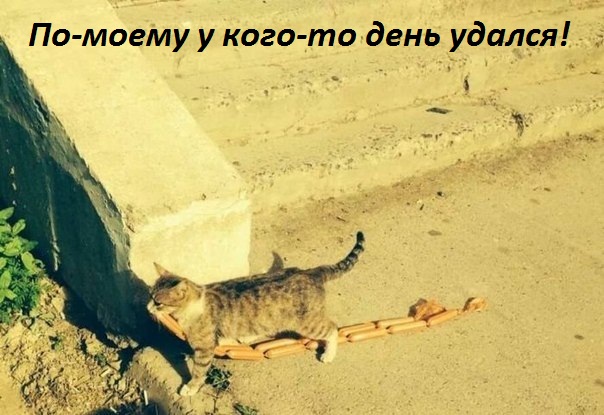 Приколы, с оттенком хорошего настроения в твою ленту!