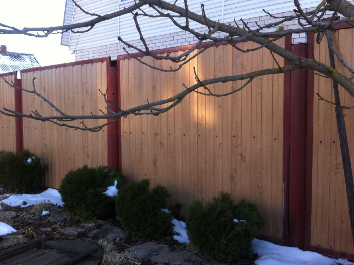 Наша "красота"