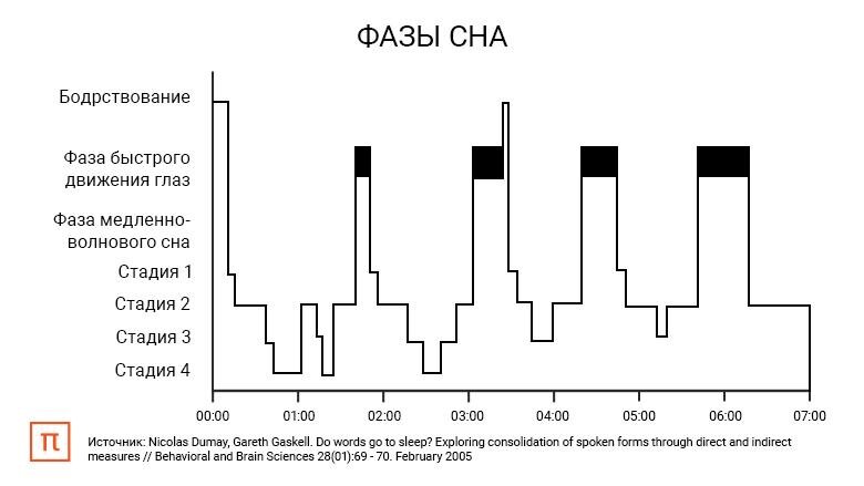 Сколько длится 1 цикл сна. Фазы сна человека диаграмма. Циклы и фазы сна. Стадии сна человека по времени таблица. Фазы сна по времени таблица.