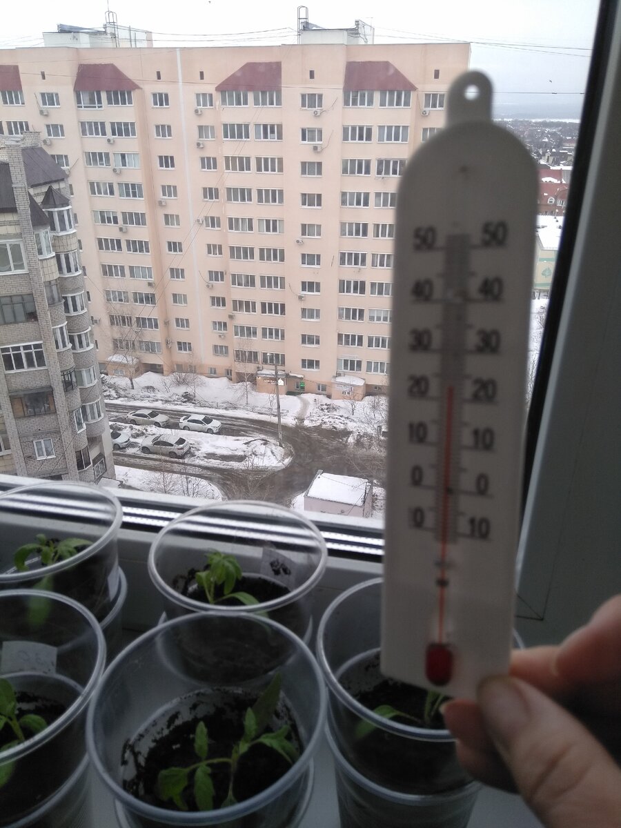 Фото автора. Это уже сегодня - тепло!