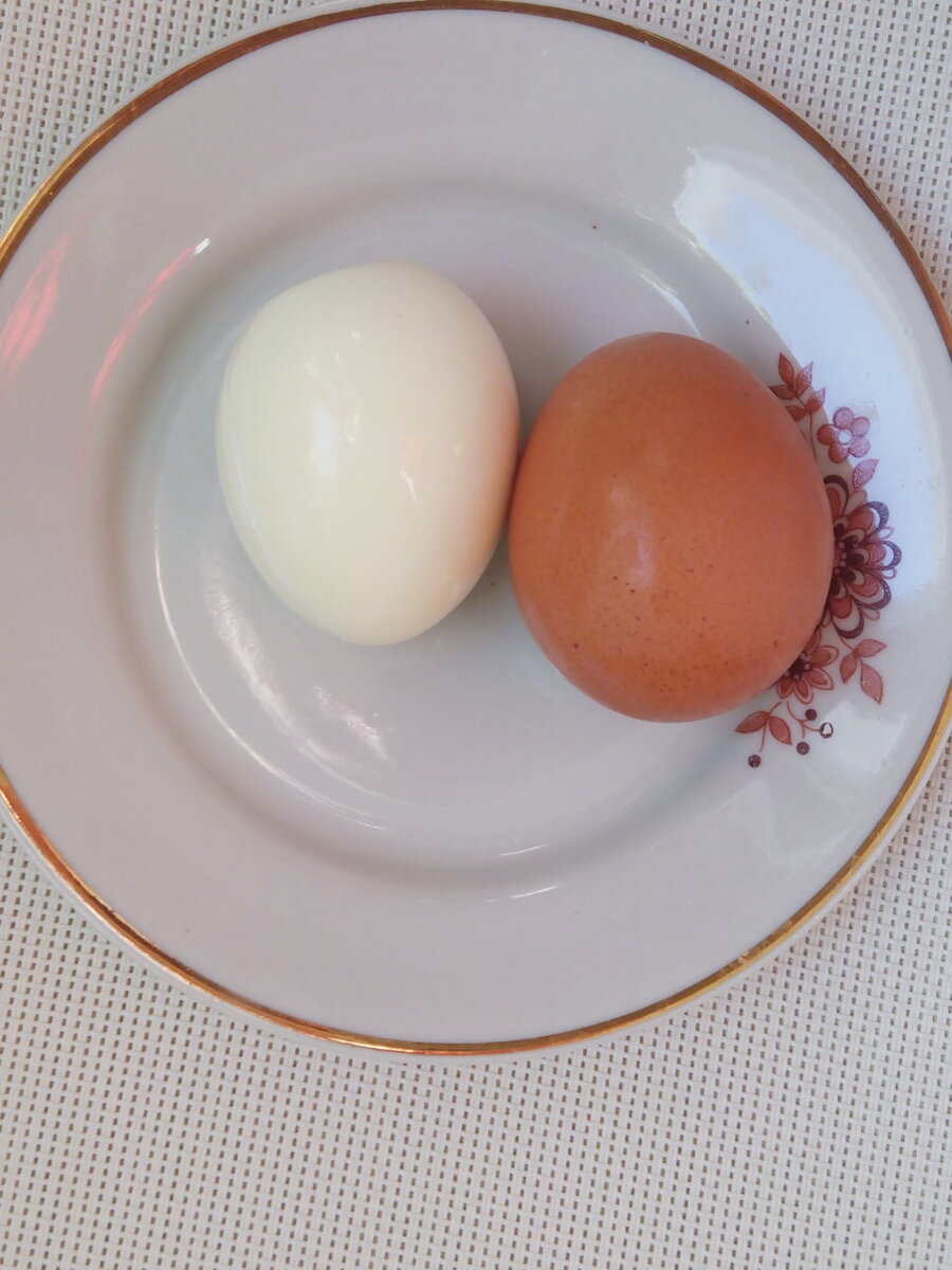 Куриное яйцо без белка. Яичный белок. Белок яйца. Куриный белок. Яичные белки.
