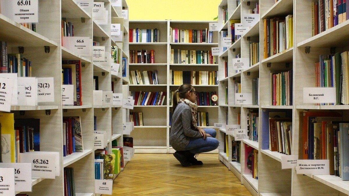 Взято на https://pixabay.com/ru/