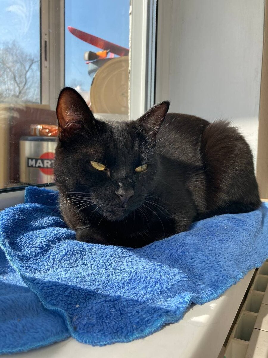 Загораем на солнце! Хочется быть коричневыми :)