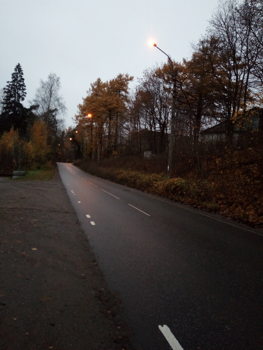 Ул. Ломоносова в Парголово