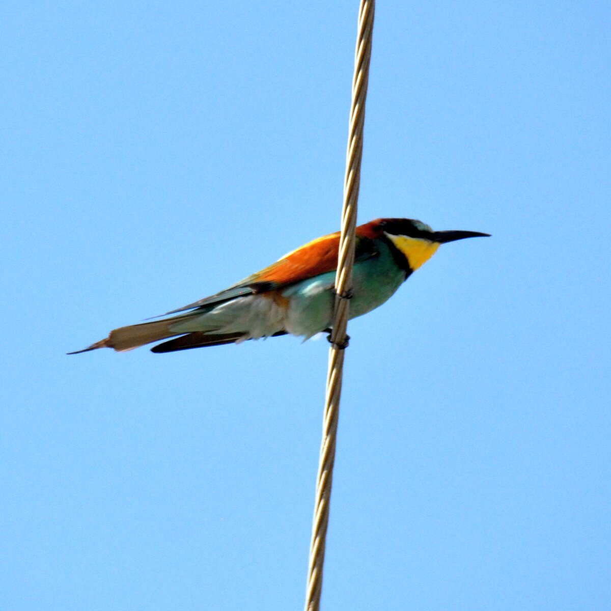 Фото Fermer.ru ©