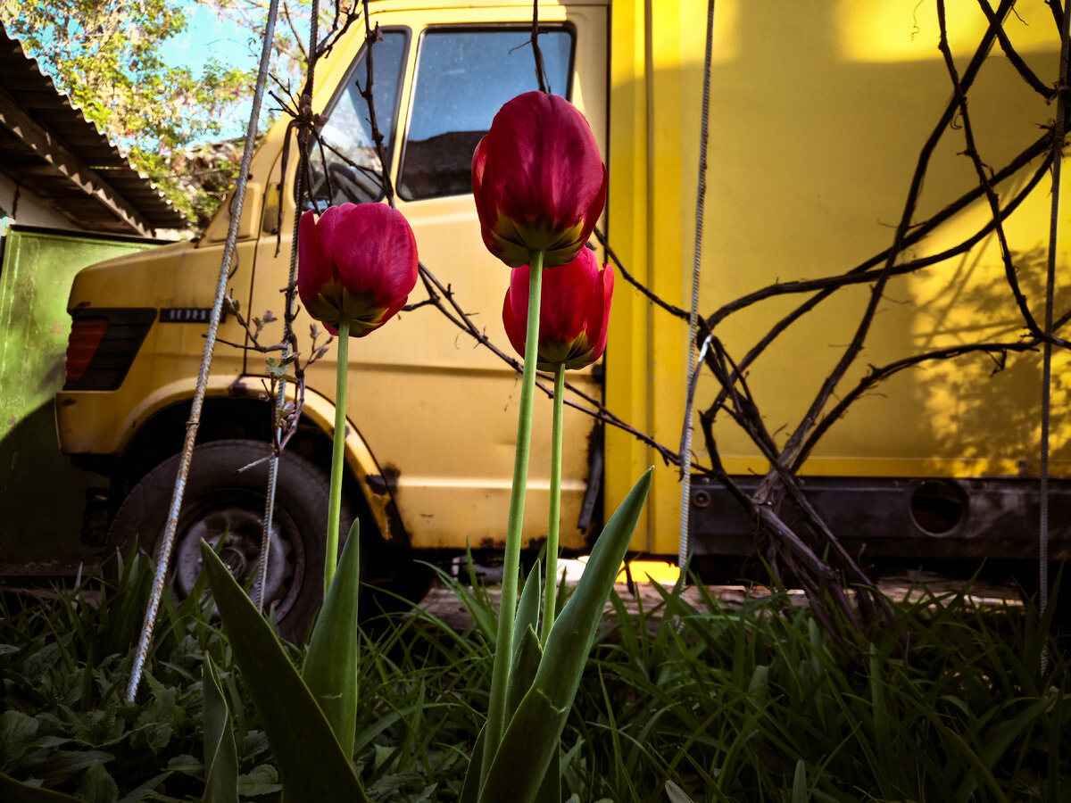 Mercedes 308d почтовик. Листайте