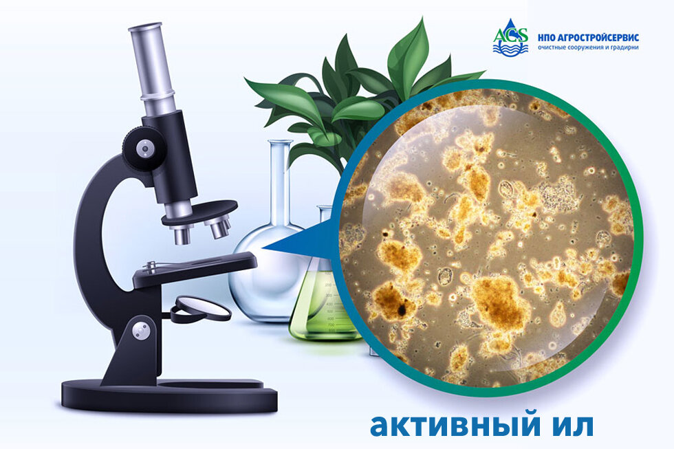 Микроорганизмы активного ила