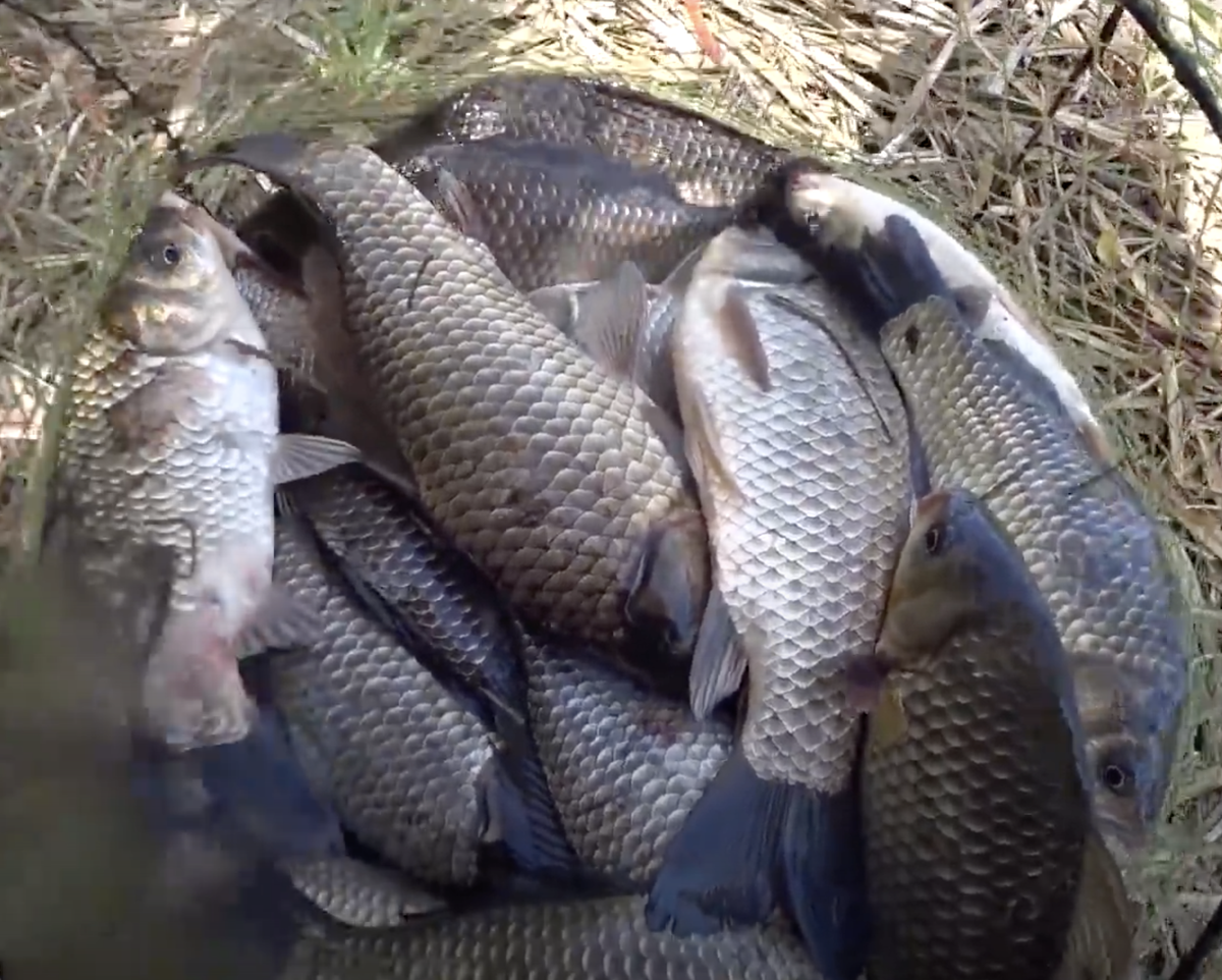 Кадр с Youtube-канала " Always Alone"