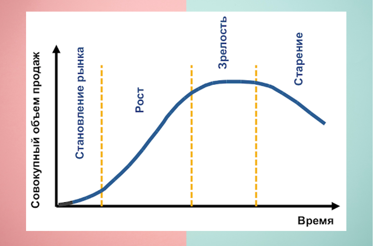 Этапы роста организации
