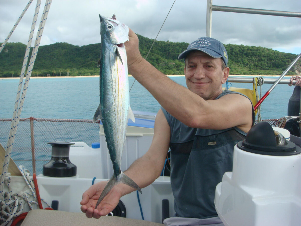 Королевская макрель - хороша во всех блюдах!