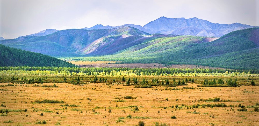 Дархадская котловина на северо-западе в Монголии 