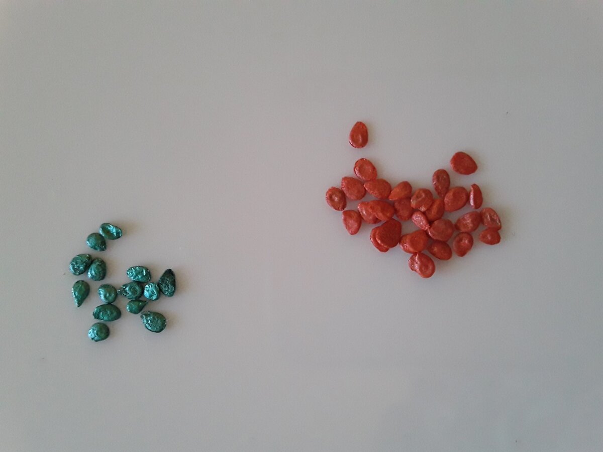 Всхожесть была хорошая