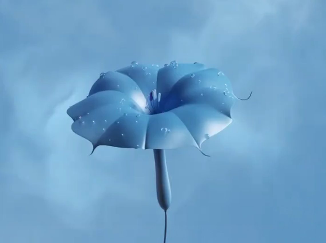 Источник: instagram.com/coloro