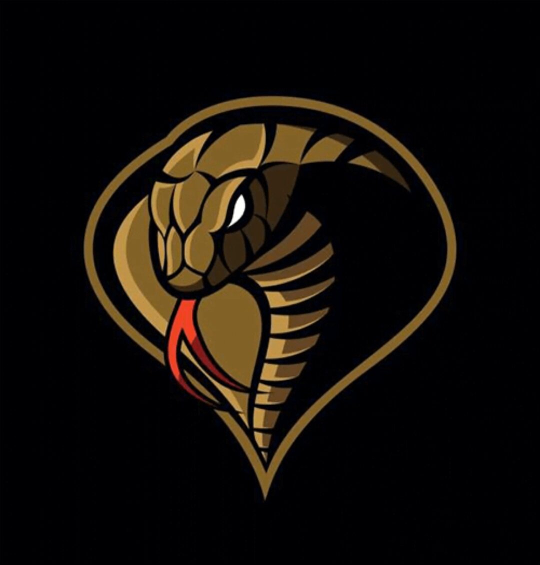 Команда змейка. Голова кобры. Кобра логотип. Змея Кобра. Кобра аватар.