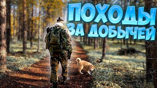 Download Video: Охота на боровую дичь, ловля щук в болоте.Медвежонок с белыми ушами.