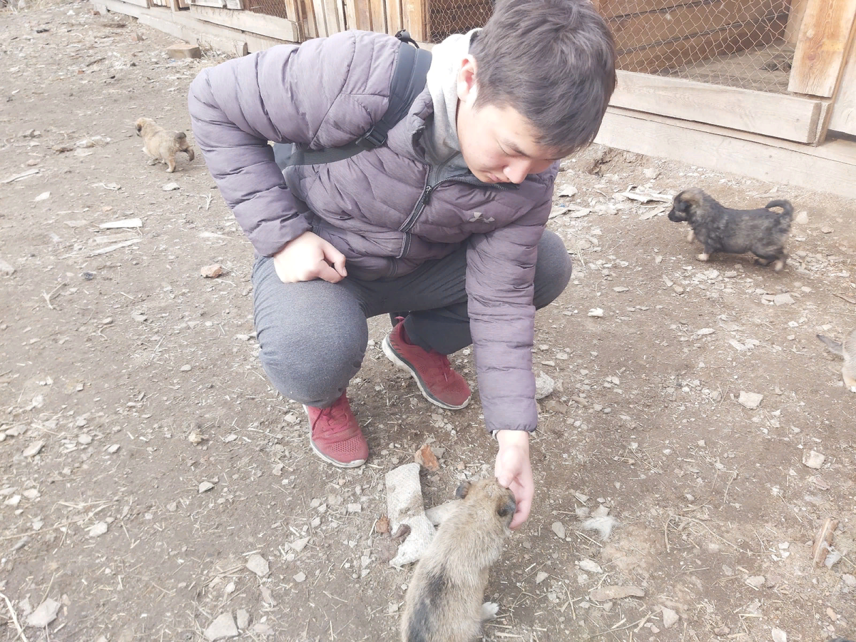 Первые самостоятельные прогулки подкидышей