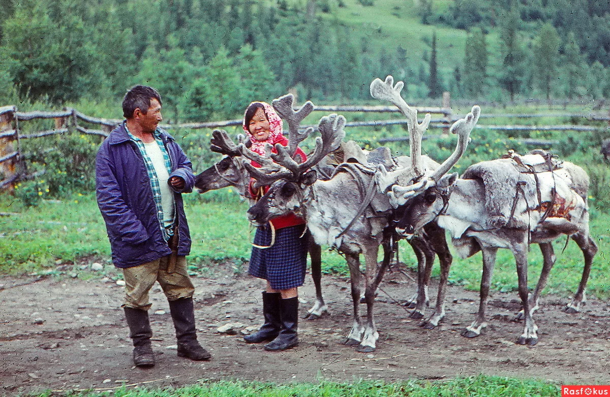 Кто живет в сибири. Народы России Тофалары. Эвенки Сойоты. Тофалары в Иркутской области. Тофалары Байкал.