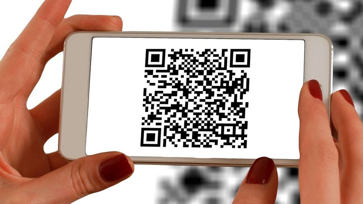 проверка qr кода по фото