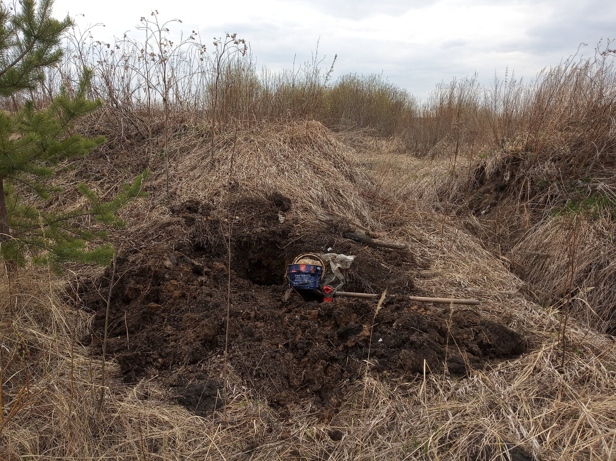 Раскопки еды в конце апреля. Фото из архива автора