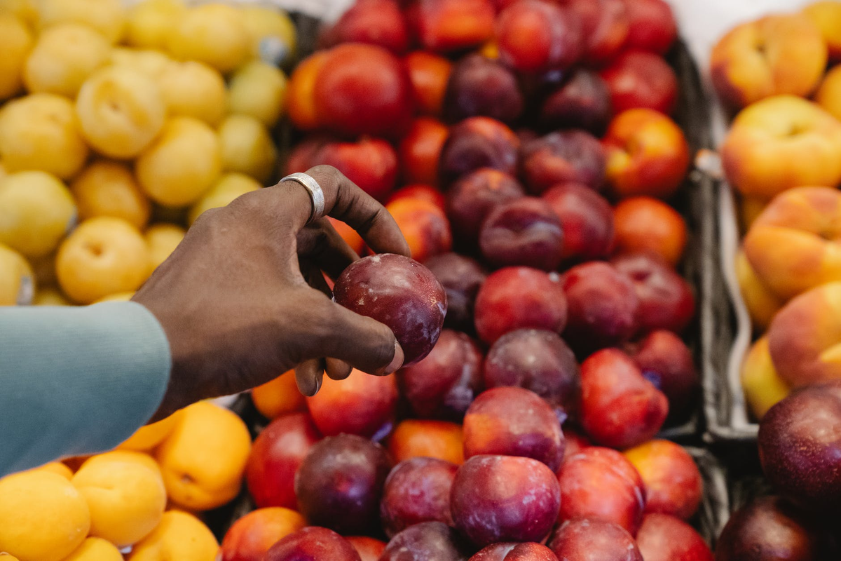 Источник: https://www.pexels.com/ru-ru/photo/9705823/