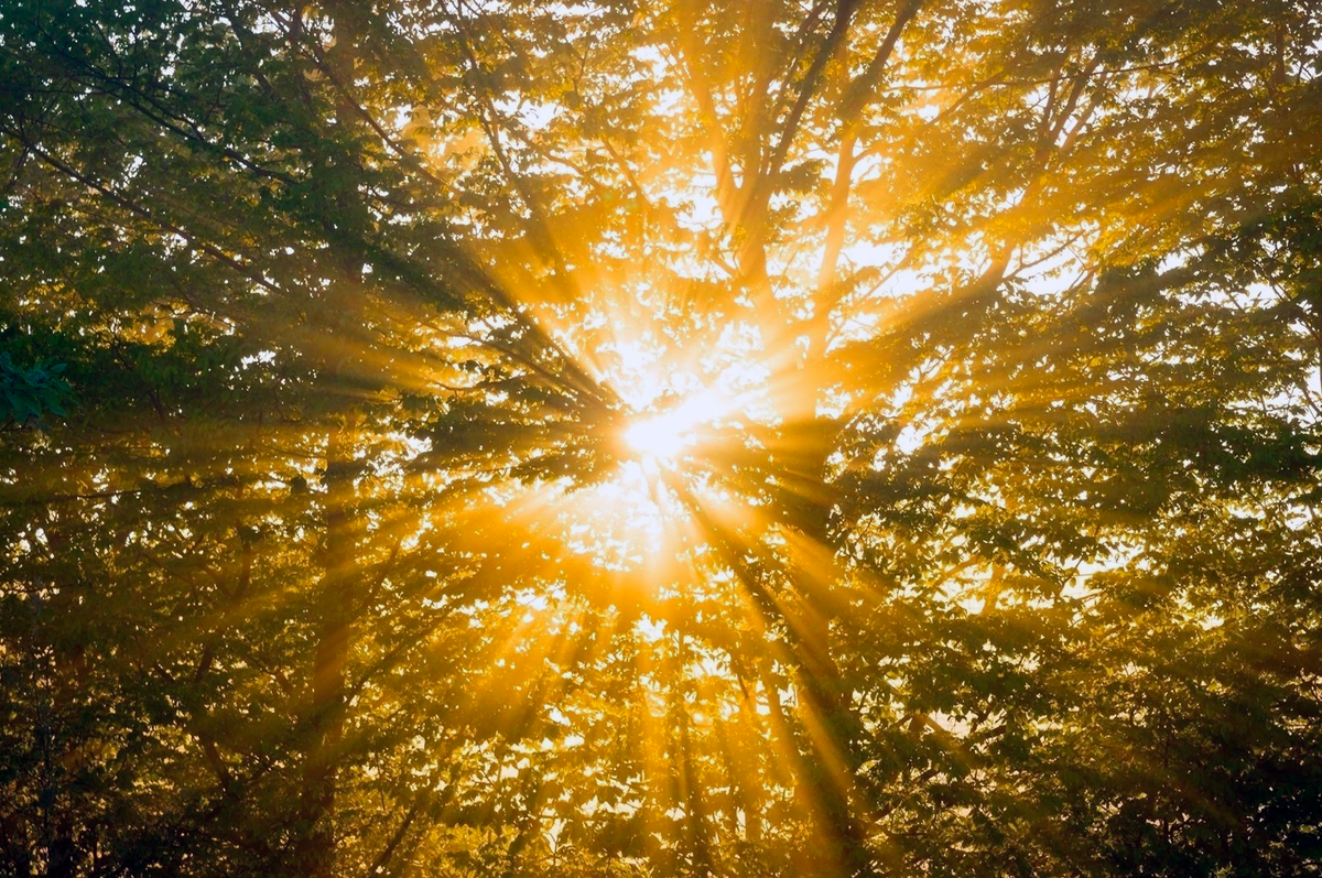 Источник: Яндекс.Картинки.