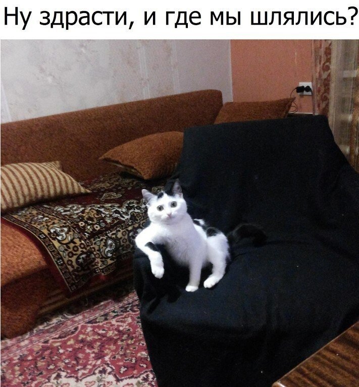 иллюстрация из яндекс картинки.