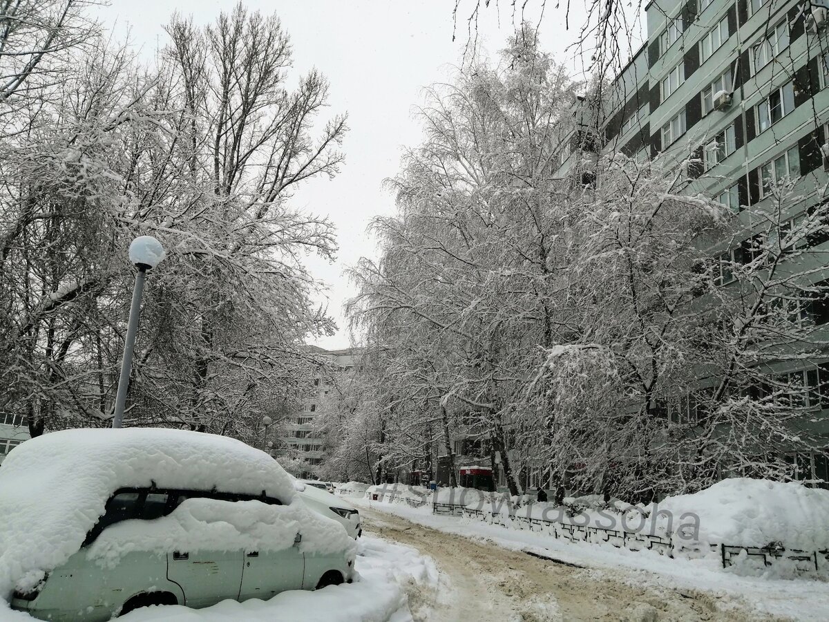 Какая погода будет зимой. Погода зимой. Погода зима. Тольятти февраль. Погода в Казани зимой.