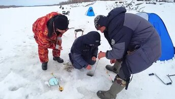 Так ловят местные! Рыбалка в деревне на реке Иртыш