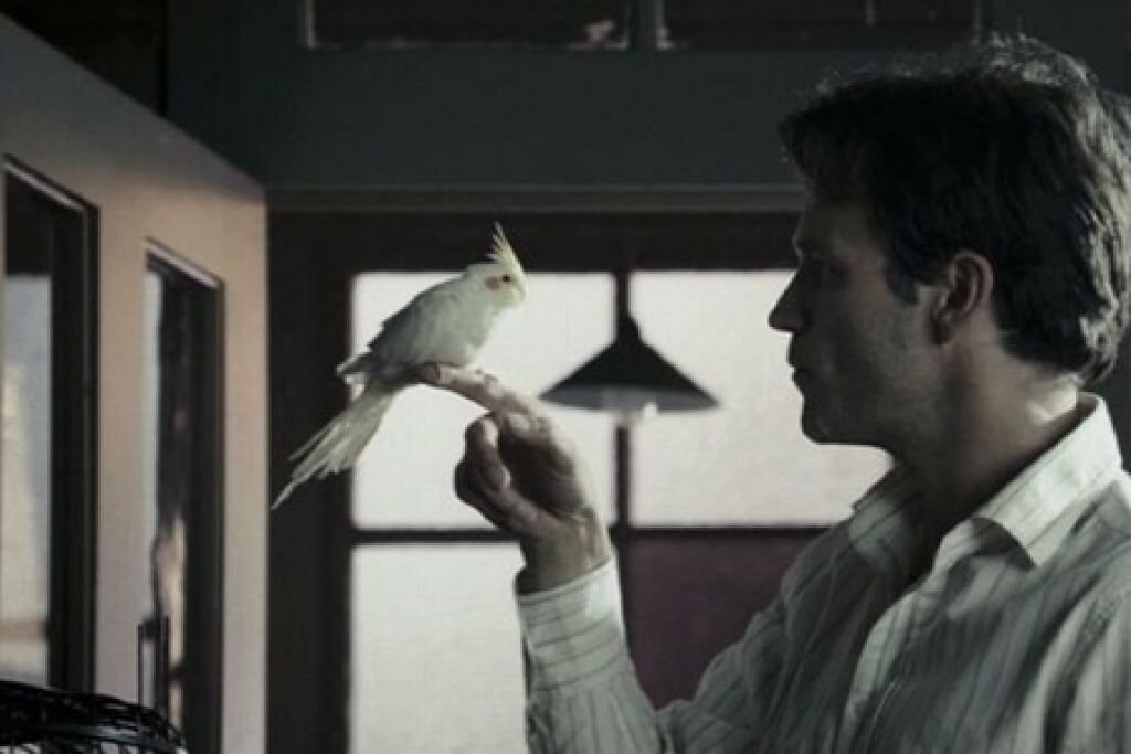 Кадр из фильма "Воздержание" (2008)