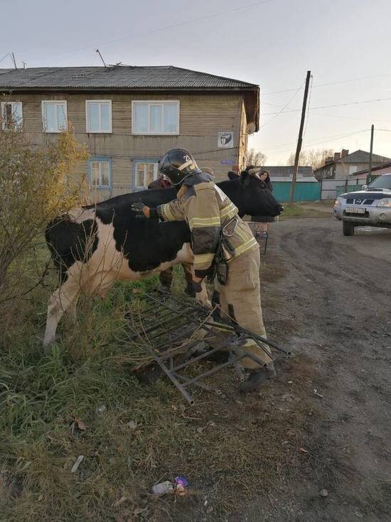     Фото ГУ МЧС России по Иркутской области.
