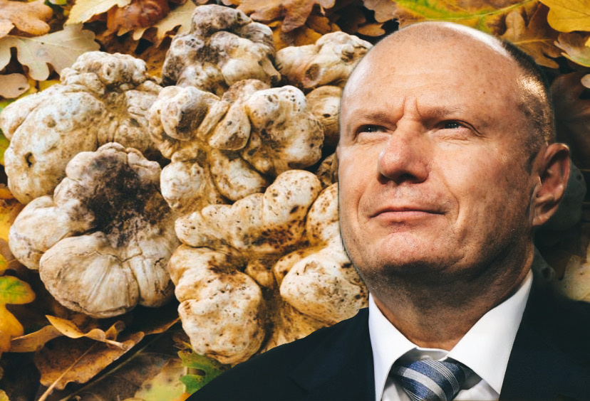 Владимир Потанин