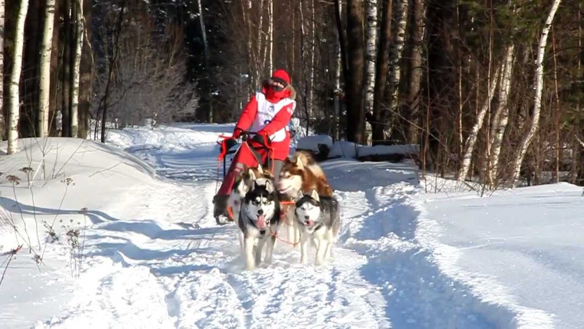 На картинке автор истории взятой из комментария.