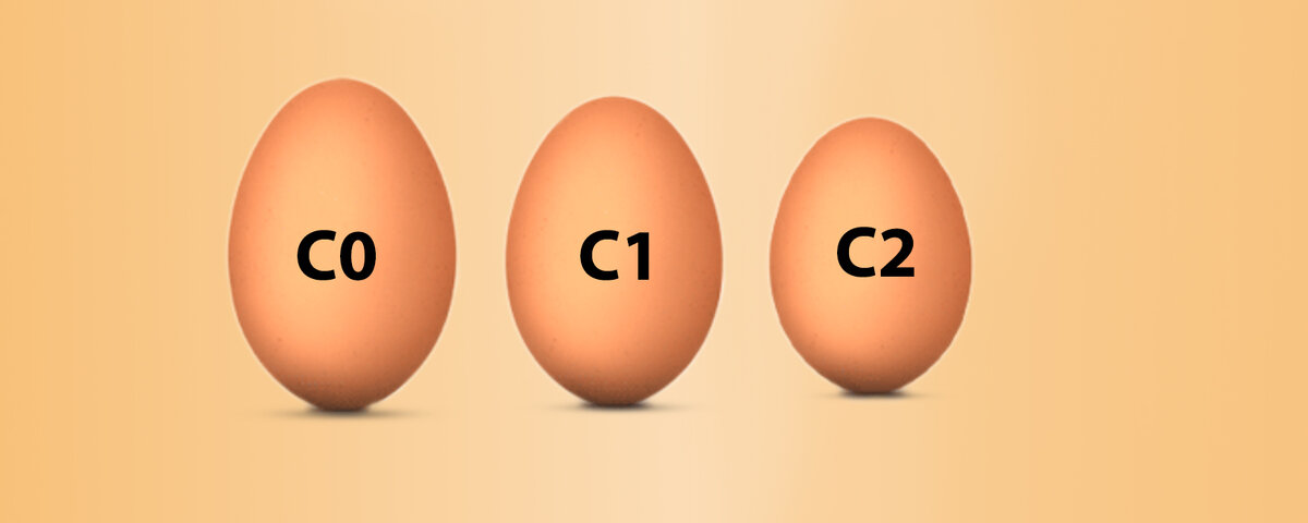 Чем отличаются яйца с0 от с2. Маркировка яиц. Категория яиц св. Категория яиц с0 и с1 в чем разница.