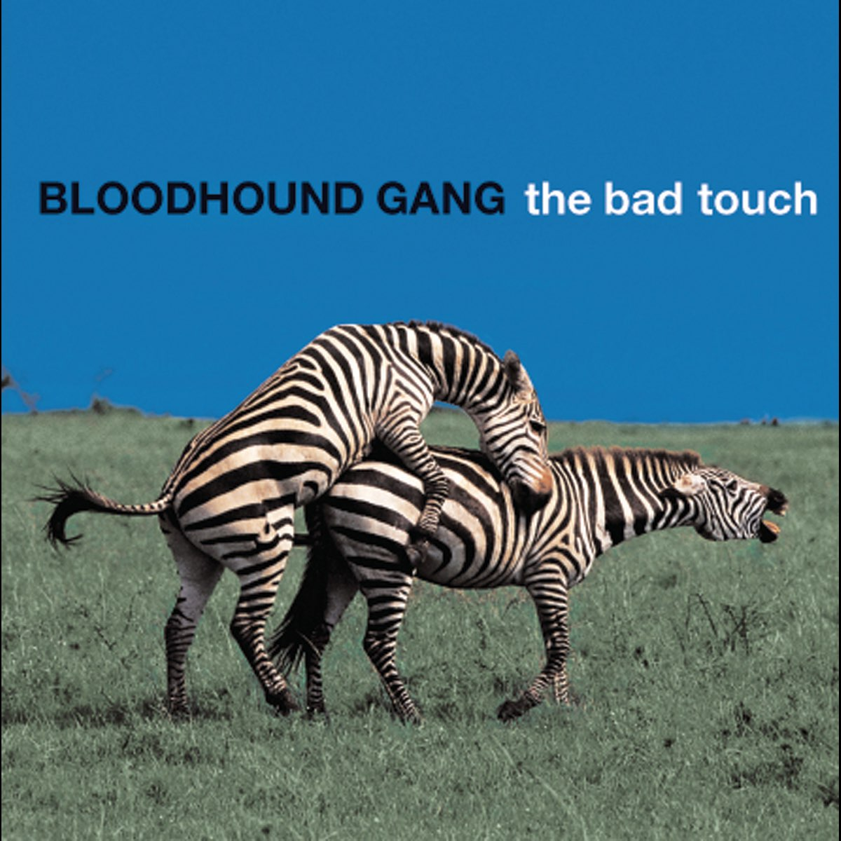 Bloodhound gang the Bad Touch. Bloodhound gang альбомы. Bloodhound gang обложки альбомов. Bloodhound gang обложка.