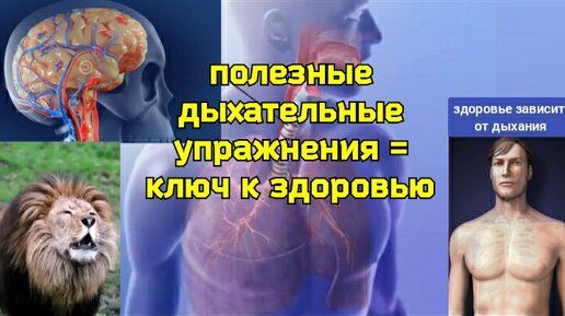 Сила иммунитета и жизнь мозга зависят от дыхания. Как правильно делать уникальное упражнение 