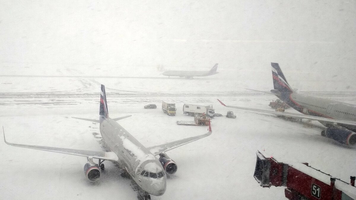    Самолеты в аэропорту "Шереметьево"© РИА Новости . Григорий Сысоев