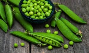    Фото: ru.depositphotos.com Анита Ким