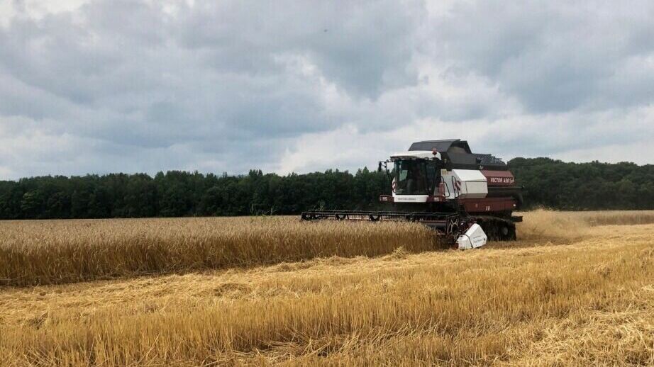     Министерство сельского хозяйства и продовольствия края подвело итоги года по основным направлениям. Среди них: растение- и животноводство, мелиорация, пищевая и перерабатывающая промышленность, а также развитие сельских территорий.