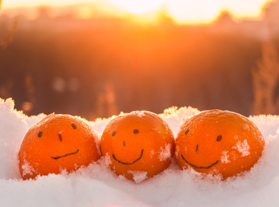 Фото из сети. Источник https://ne-kurim.ru/forum/attachments/1576830119589-png.1082665/