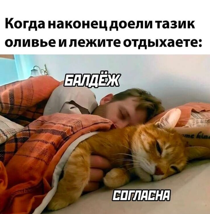 Свободный доступ. Пора уж и доесть 4 число же😅)))