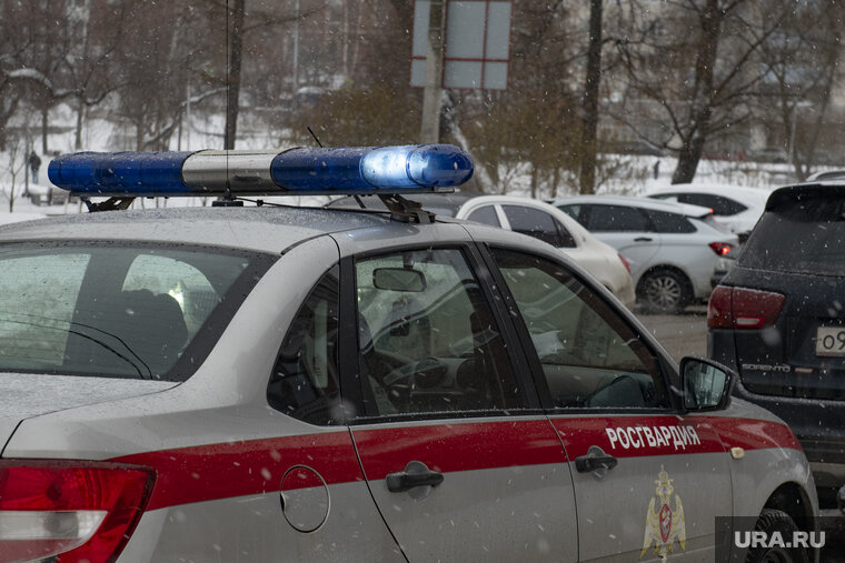    В доме у сотрудника СБУ были найдены личные вещи солдата Вермахта, сообщили в Росгвардии